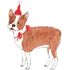 Noël Boston Terrier