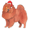 Autocollant de Noël Chow Chow