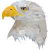 Eagle Polygon Style