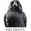 No Crow. Jackdaw
