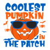 Coolest Pumpkin in the Patch