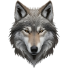 Wolf's head
