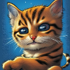 cute cat eyes