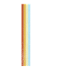 Édition Limitée Retro 2000
