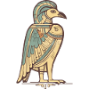 Azi the Egyptian ibis