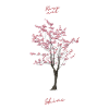 ARBRE SAKURA. Grandir et s’épanouir.