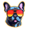 French bulldog with sunglasses