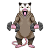 Possum, Culturiste, Haltères, Culturisme