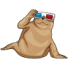 Seal goggles