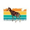 Pure Okapi nature