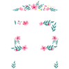 Feminist Feminism The Radical