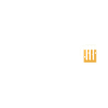 Bier Evolution Saufen JGA