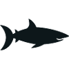Hai