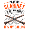 Clarinettes Amateur Clarinettiste Clarinettiste