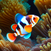 Clwonfisch