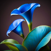Blue Calla