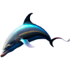 Dolphin