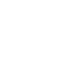 Capybara capybara rodent