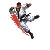 Karate Fighter
