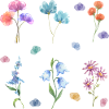 Aquarell-Blumen