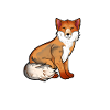 Drawing of a Tibetan fox