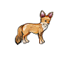 Drawing of a Cape fox