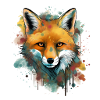 Fox drawn