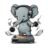 Elephant Beats
