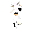Cats,Cat,Stars,illustration