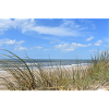 On the beach - photo