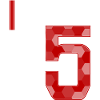 25