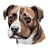 Staffordshire Bullterrier Hund