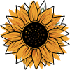 Sunflower Summer Flower