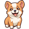 Cute little dog