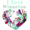 Save Winnetou,Winnetou,Federn,Illustration