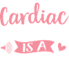 Cardiologue Échographie médicale Échographie
