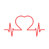 Cardiologue Échographie médicale Échographie