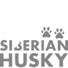 Loved By A Siberian Husky