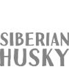 Property Of A Siberian Husky