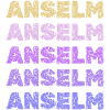 First name Anselm
