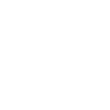 Ice flake Leandro