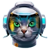 Chat Cyborg du Futur