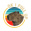 Capybara Capybara Meme rongeur