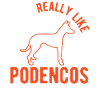 Podenco Ibicenco Ibizian Hound