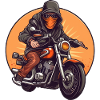 Moto cool