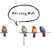 Birds Funny Flying Wifi - English