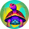 Tortoise
