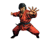 Kung Fu Fighter