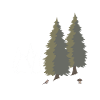 Baumkunde