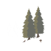 Waldyoga